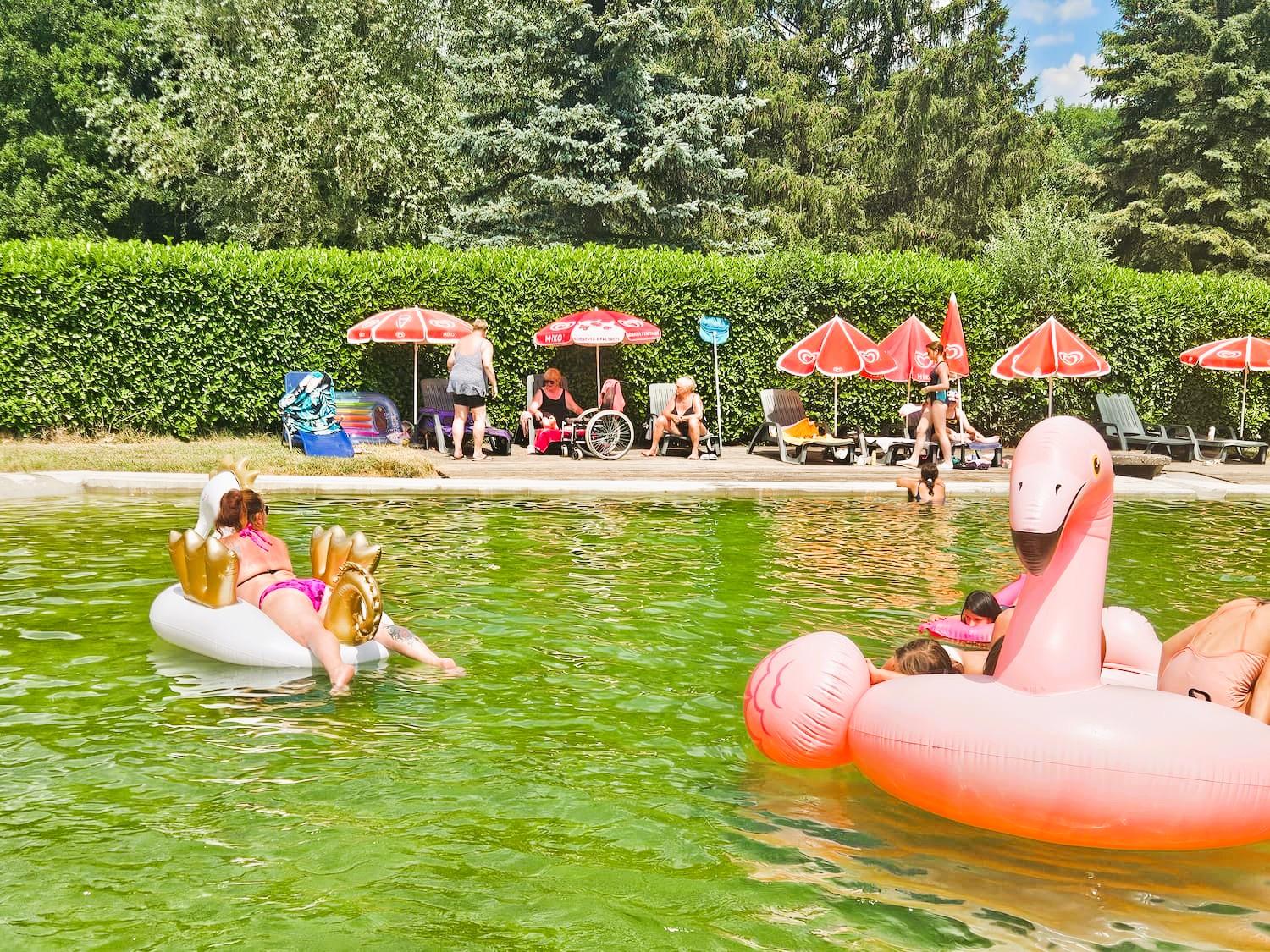 Baignade naturelle au Camping Hanau de Dossenheim